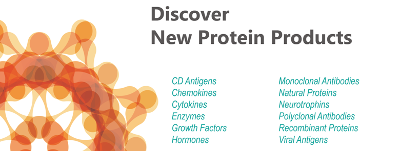 New Protein products available